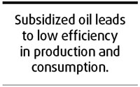 Time to take a fresh look at oil subsidies