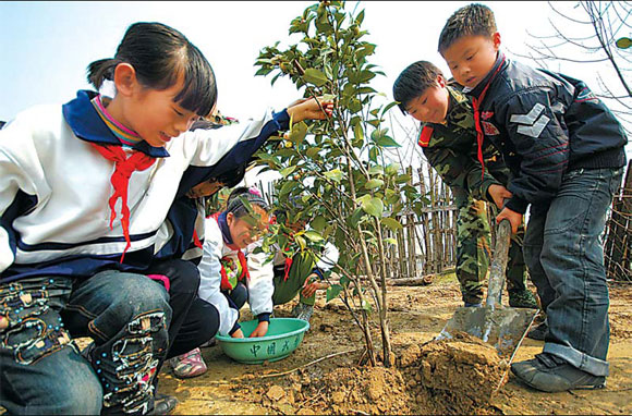 New forest has roots in industry