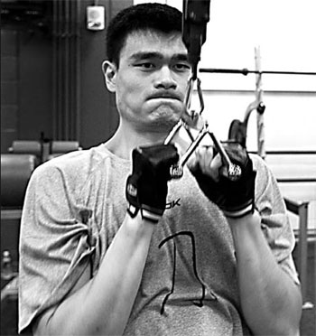 CBA scotches Yao homecoming rumor