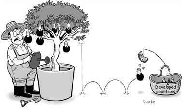 Time for Asia to reverse the brain drain