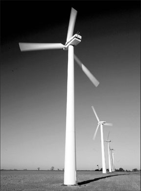 Utility to build UK wind farm