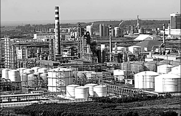 Yangpu set for export growth