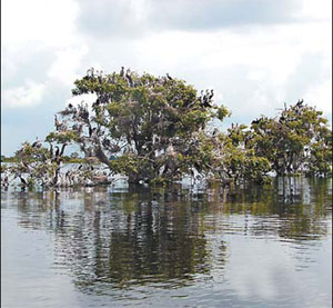 Geared up to sustain tourism growth