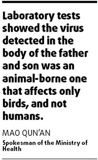 Bird flu human mutation ruled out