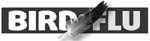 H5N1 scare closer to Seoul