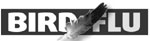 ROK culls 3 m birds as H5N1 virus spreads fast