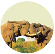 'Rainbow nation' offers tourism kaleidoscope