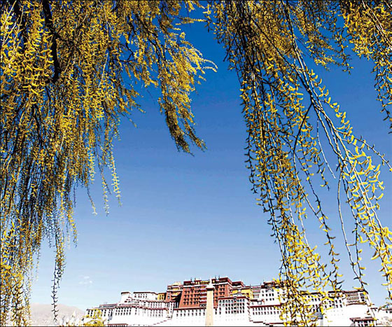 Green official 'luckiest' in China