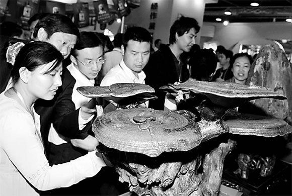 Central China urged to up ante