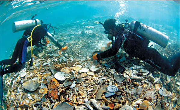 Treasure hunters