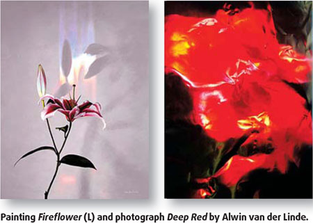 Dancing in the light of yin and yang