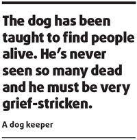 Trained dogs offer sniff of a chance