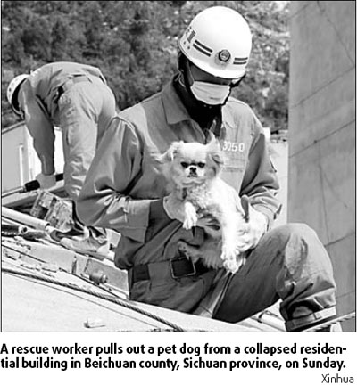 Animal victims gather attention
