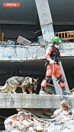 Suffering the temblor