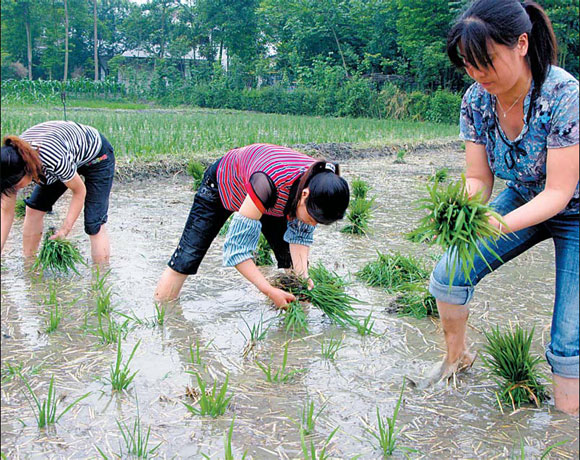 Farmers need safe place to keep crops