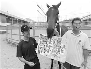 Horse whisperer