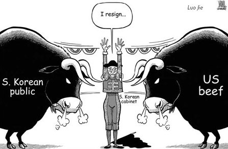 Cartoon