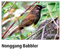Winged beauty jumps onto China's wildlife list
