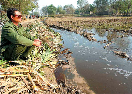 Govt targets land pollution