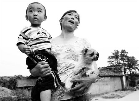 A dog-day afternoon