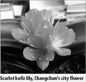 Special supplement: Lily, ice and snow add regional flavors
