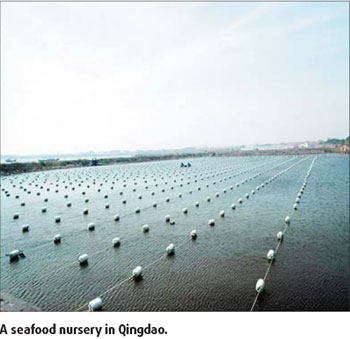 Aquaculture and fishing spawn robust revenues