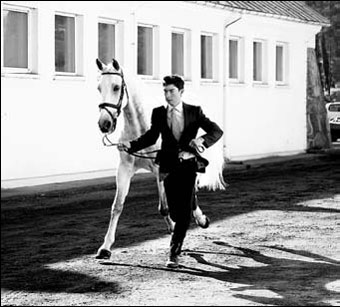 Courses for horses