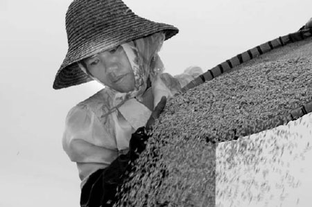 Rising prices eating into farmers' income