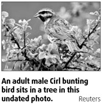 Birds fly north in climate change vanguard: Study