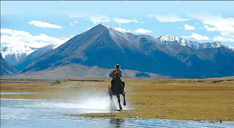 Rein man in the grasslands
