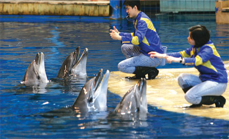 Flipping out at the zoo