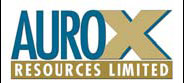 Aurox on track for fine ore production