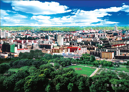 Special Supplement: 'Banner' regions look to soar on rising Ordos business breeze