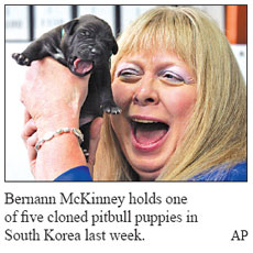 Cloned puppies may have exposed 31-year mystery