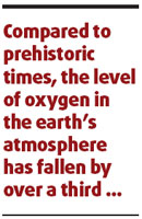 Global oxygen level falling, warn scientists