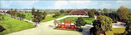 Anyang's oracle bones provide glimpse of ancient China