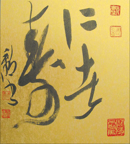 Calligraphic conversations with nature