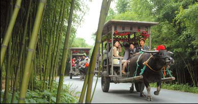 Special Supplement: Drifting on a romantic tour