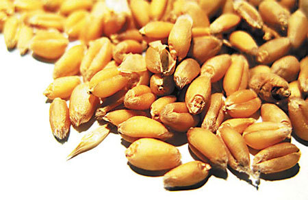 China closes in on grain output goal