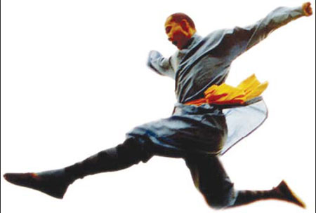 Kungfu parade