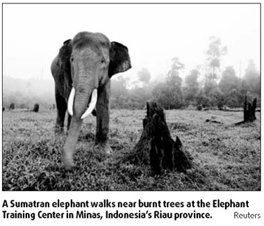 Endangered species get boost in habitat