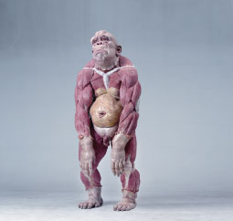 World's top galleries coming to Beijing