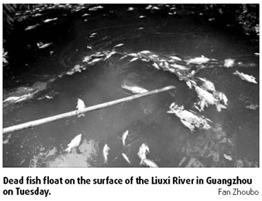 Dead fish mystery probed
