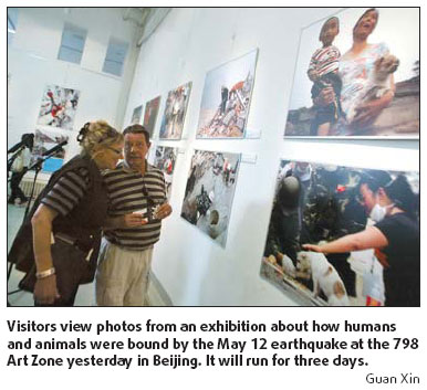 Photo show links people and animals in quake