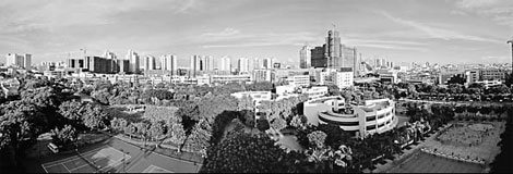 Special supplement: Guzhen to light up with trade fair