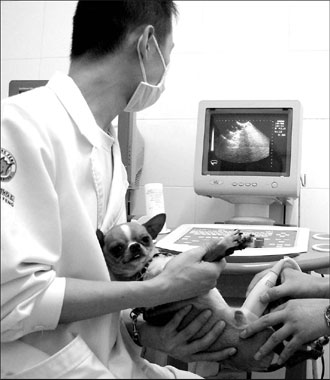 Plans dry up for breast milk bank