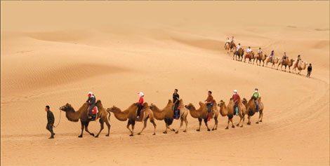 Desert dreams