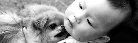 Furry friends aid kids' development