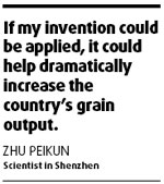 New rice hybrid grows on salty lands