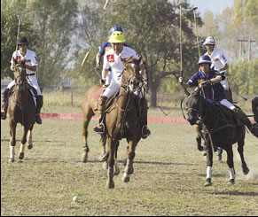 Polo catches on